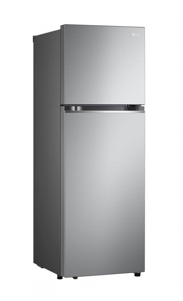 LG 2-Door Refrigerator 11.8 cu ft 335 L Silver